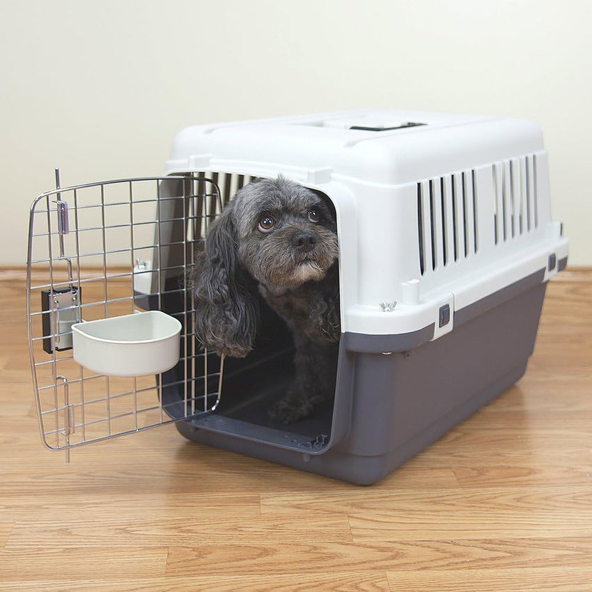 SportPet Designs Plastic Kennels Rolling Plastic Airline Approved Wire Door Travel Dog Crate. XXX-Large. Gray